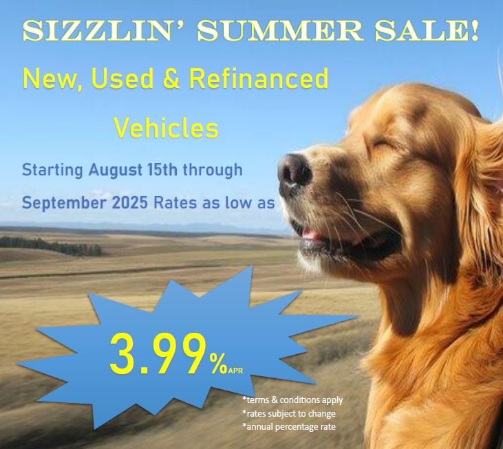 Sizzling Summer loan special